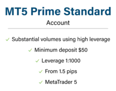 MT5 Standard Mobile